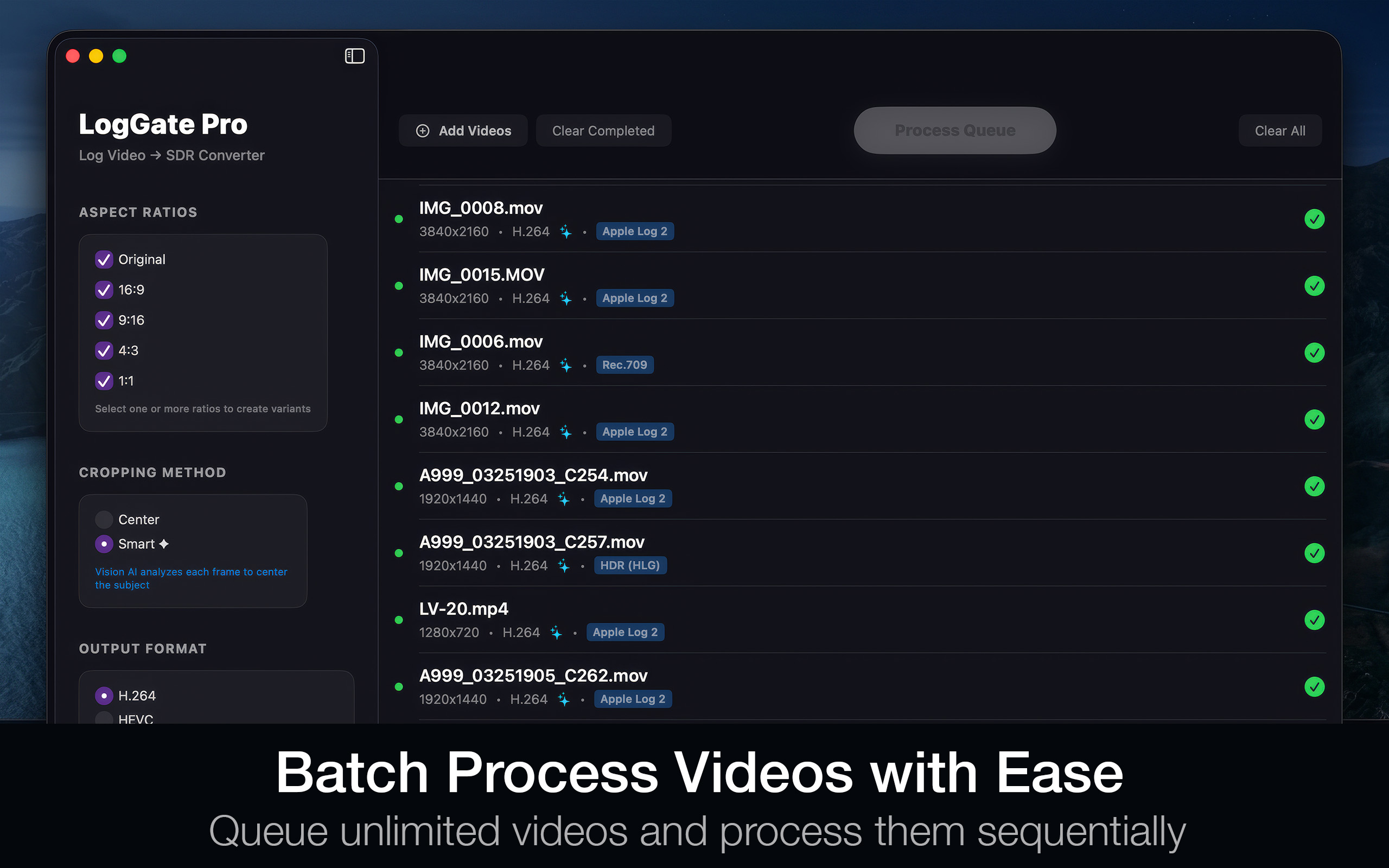 Batch Process Videos