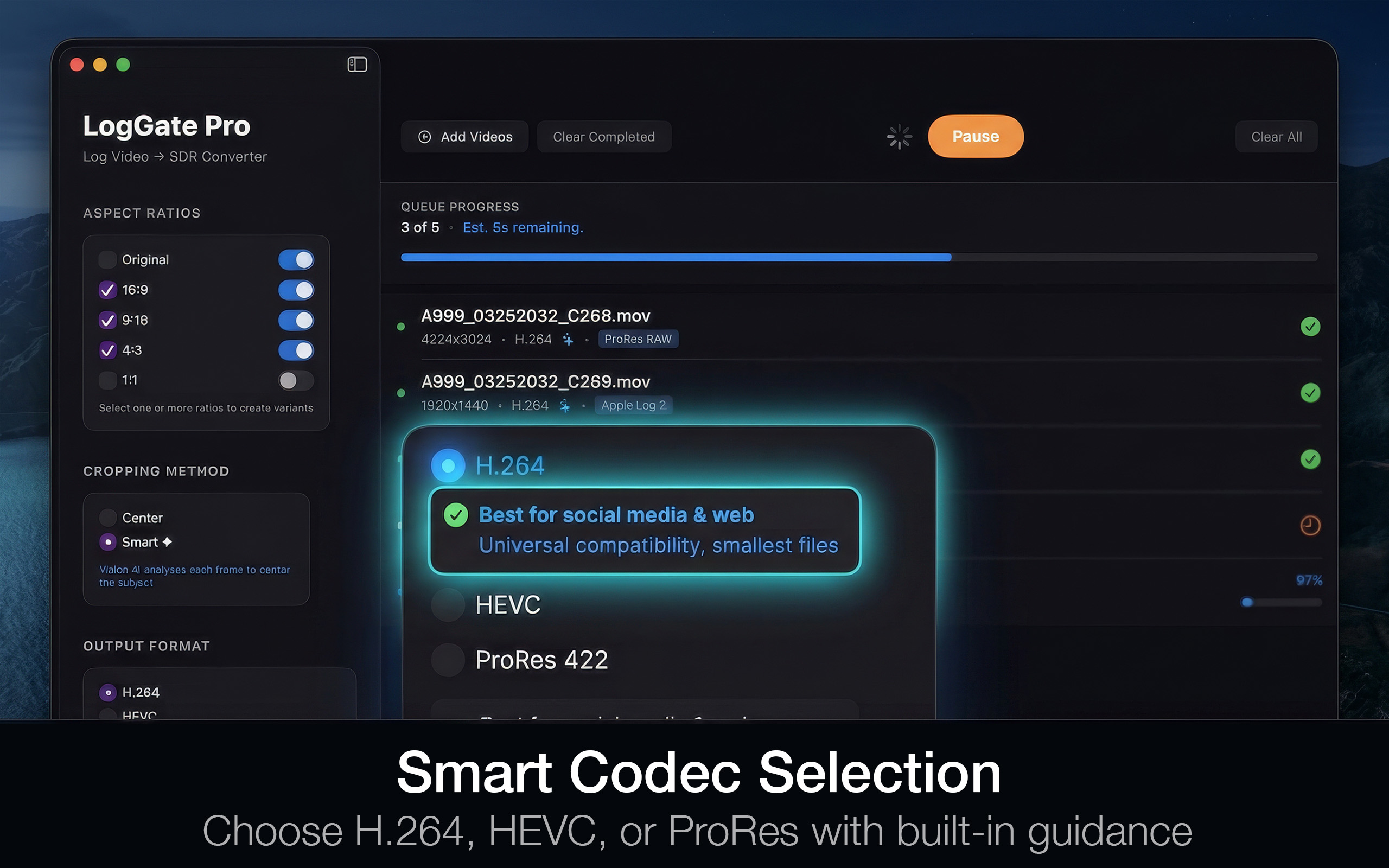 Smart Codec Selection