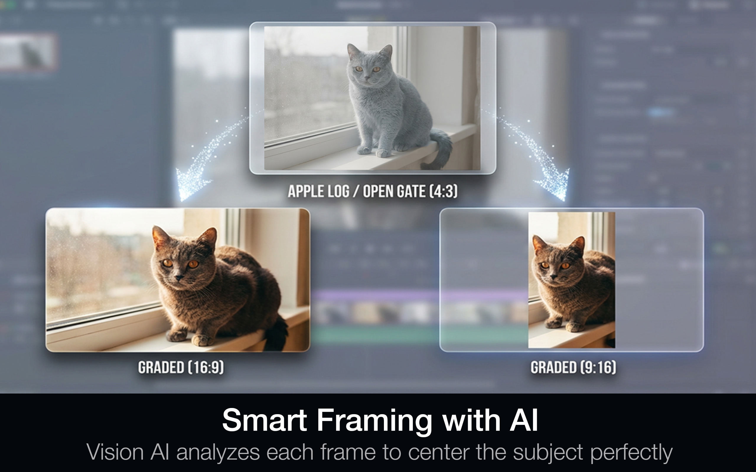 Smart Framing AI