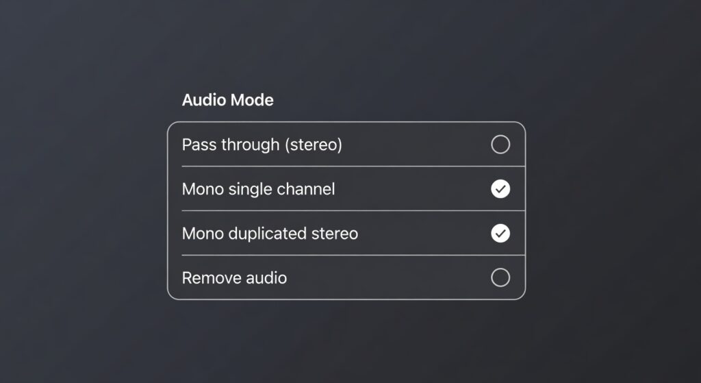 LogGate Pro v1.2 audio mode picker settings screen showing four options: stereo pass-through, mono single channel, mono duplicated stereo, and remove audio
